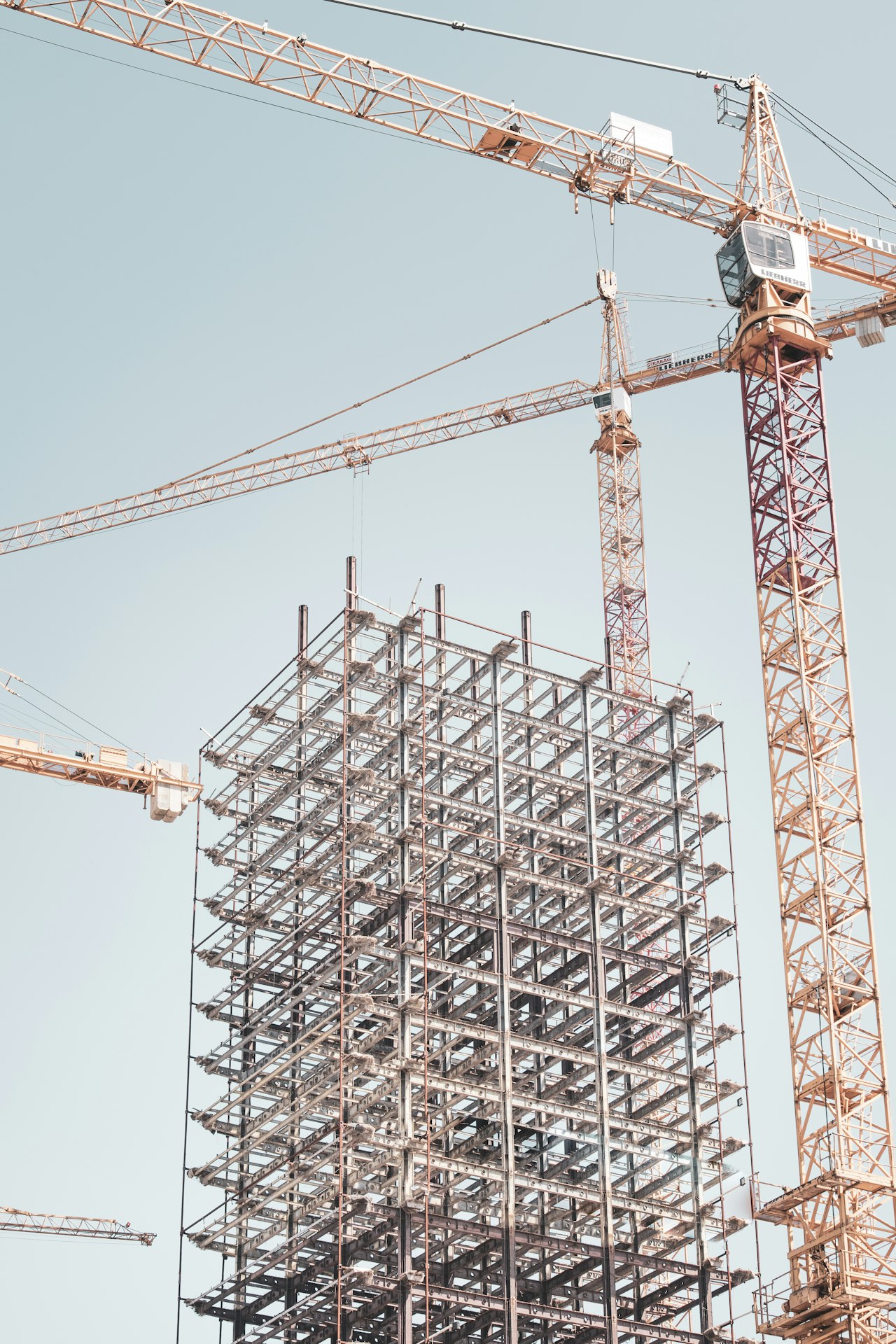 Construction site with tower crane